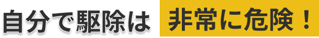 自分で駆除は非常に危険