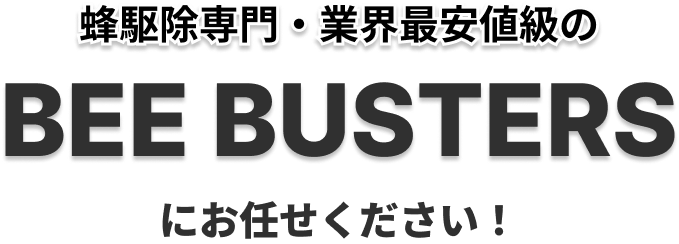 ビーバスターズにお任せください