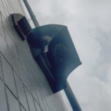【千葉県柏市】9月9日　アシナガバチ　駆除依頼