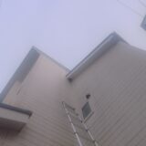 【千葉県柏市】9月10日　アシナガバチ　駆除依頼