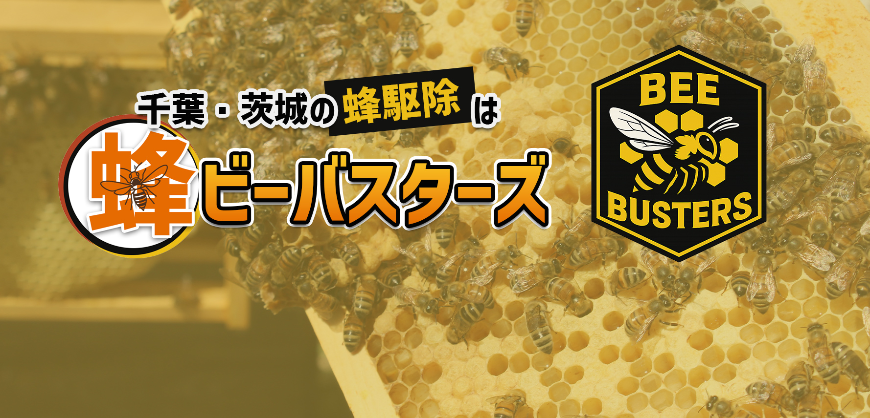 メインビジュアル